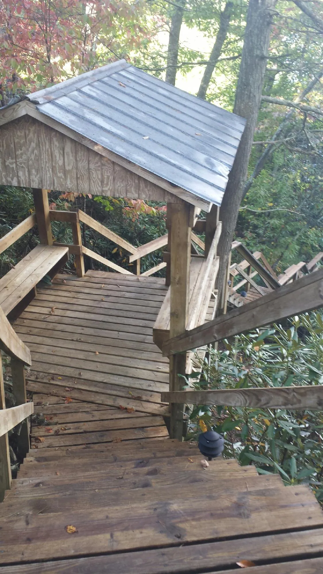 Metal roofed shelter over wooden steps on a wooded walkway — Skylight Repair & Installation work by our crew in Clitherall